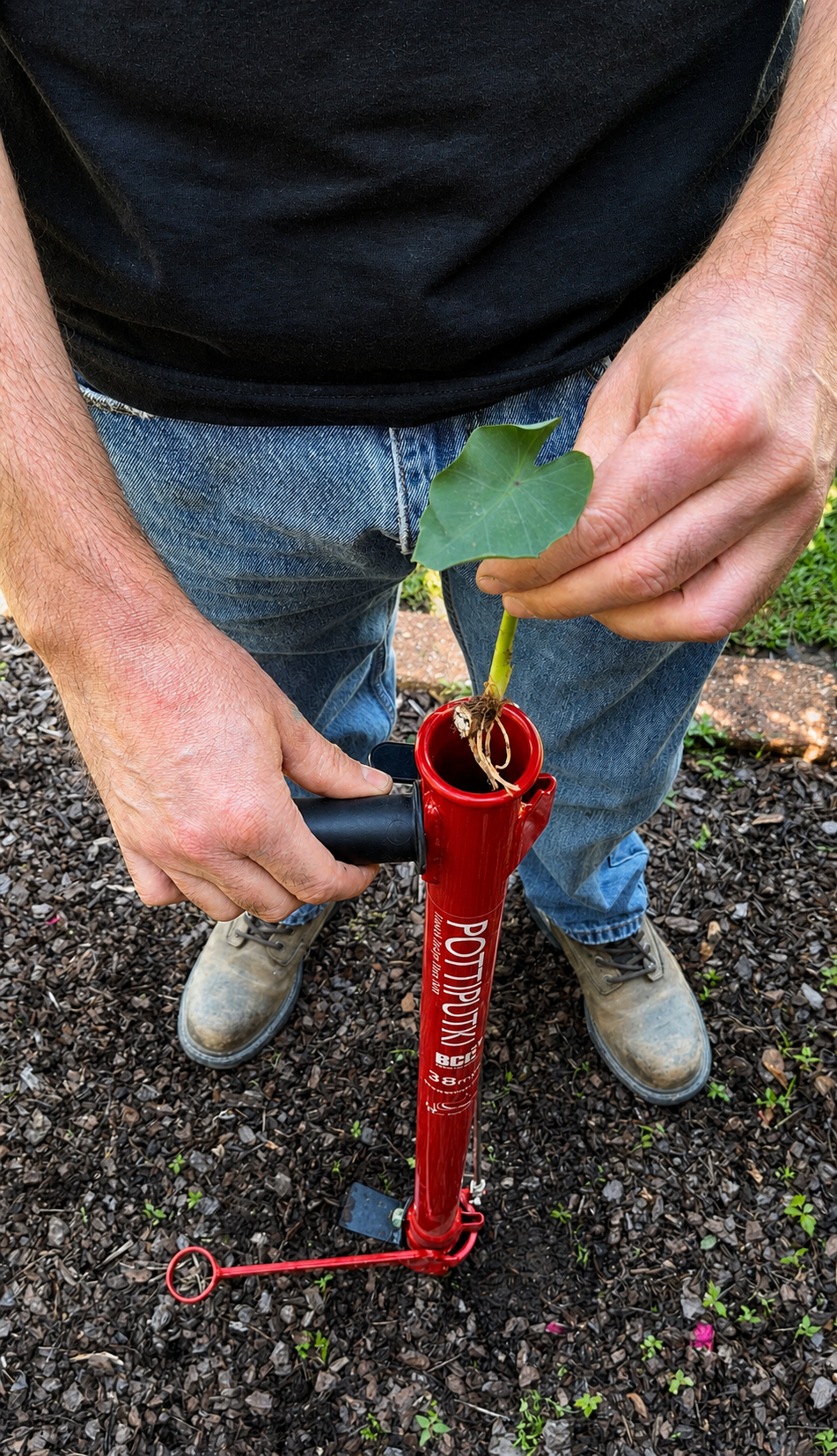 Why the Pottiputki Is Revolutionizing Tree Planting for Forestry and Horticulture Professionals