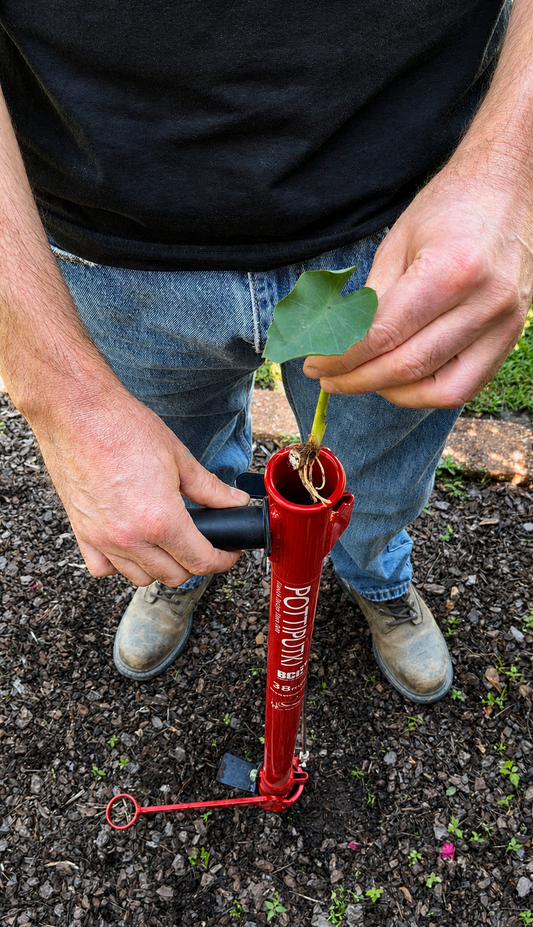 Why the Pottiputki Is Revolutionizing Tree Planting for Forestry and Horticulture Professionals